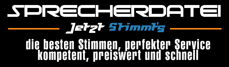 Denis Bergemann Sprecher No Voice